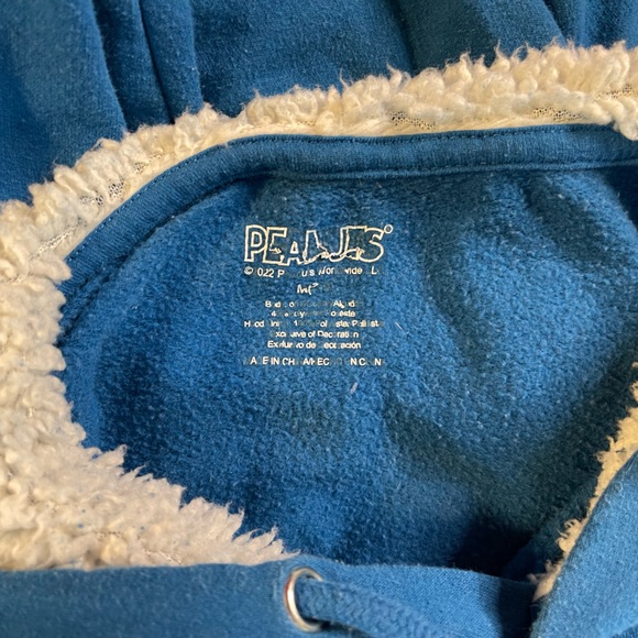 Peanuts Snoopy Charlie Brown Friends Forever Blue Pullover Hoodie Medium - Picture 4 of 4
